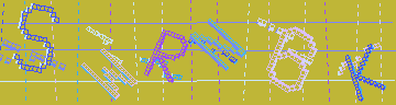 確認代碼