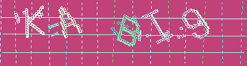 確認代碼