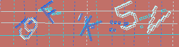 確認代碼